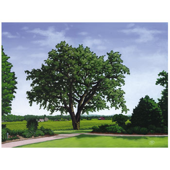 [oak]